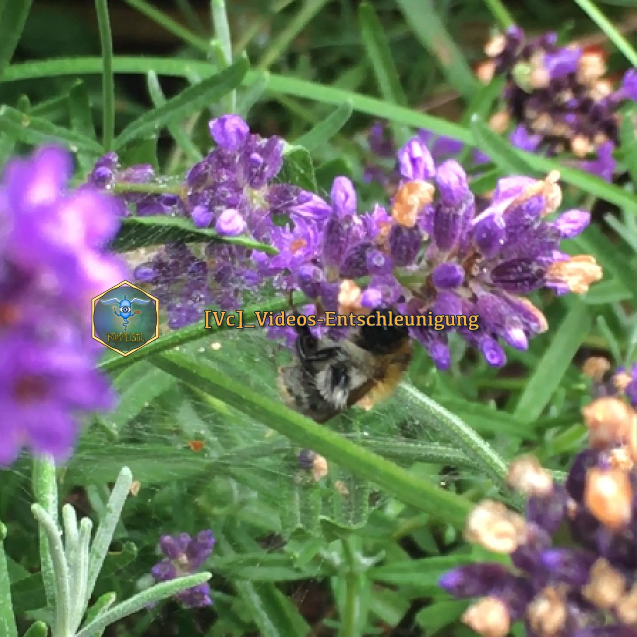 [Vc]_Entschleunigung