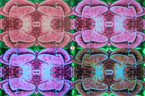 Rumpelstil TPOS-Orchid Acryl on canvas 40 x 60 cm 2026