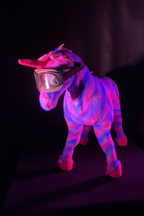 Rumpelstil
ZebraUnicorn
